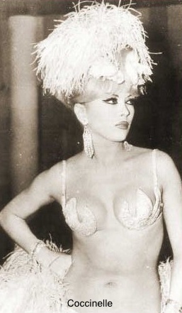 Coccinelle