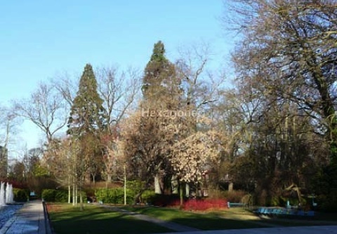 Jardin de la Patte d'Oie