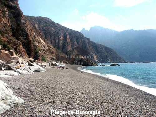 Bussagia