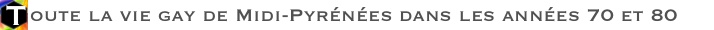 Toute la vie gay en Midi-Pyrnes dans les annes 70 et 80