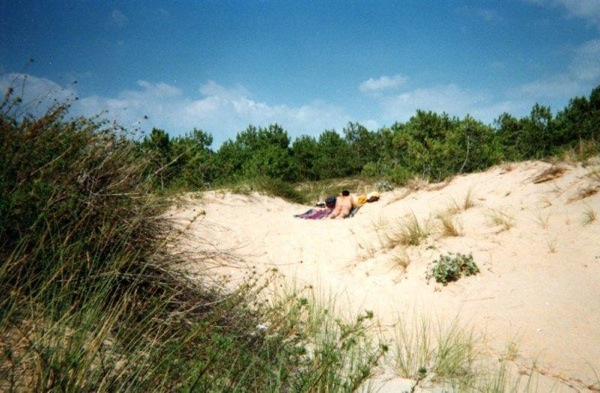Plage de la pointe d'Aray